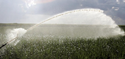 Custo operacional do cultivo de cana no centro-sul subirá 6% em 21/22