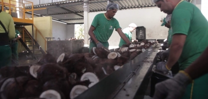 Redução na mistura de biodiesel ao diesel deve afetar agricultura familiar