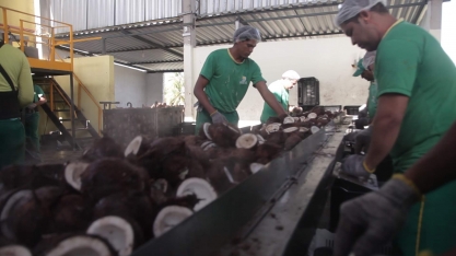 Redução na mistura de biodiesel ao diesel deve afetar agricultura familiar