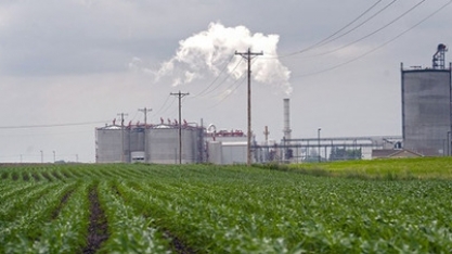 USDA vê estoque menor de milho nos EUA com alta demanda por etanol, ração e exportação