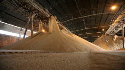 Cerca de 85% do açúcar da safra 2021/22 já está travado na bolsa, aponta Itaú-BBA