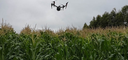 Sistema faz contagem automática de plantas na lavoura por imagens de drones
