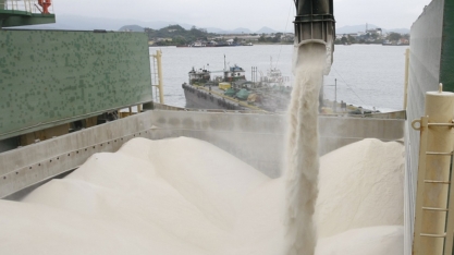 Notícias de brusca queda de safra canavieira no Brasil devem ter impulsionado aumento da cotação do açúcar