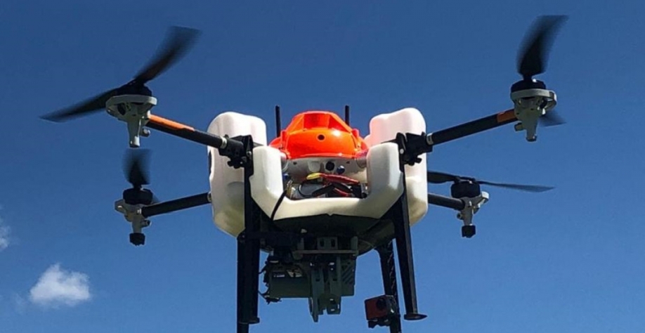 Drone em ação, distribuindo no canavial larvas da vespa Cotesia Flavipes para combater a broca-da-cana (Crédito: Divulgação BP Bunge)