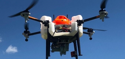 Controle biológico e novas variedades de plantas no combate a pragas da cana-de-açúcar