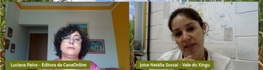 Na Vale do Xingu, biológicos permitem um controle eficiente e sustentável das pragas