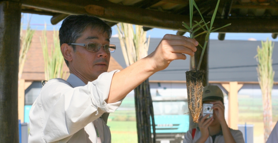 Pesquisador Mauro Xavier apresenta um exemplar do MPB, o IAC foi pioneiro no desenvolvimento desta tecnologia