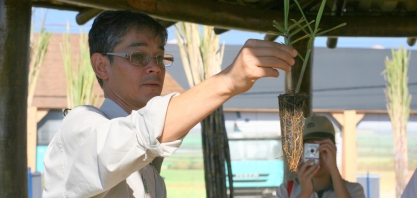 O uso do MPB se dissemina pelos principais estados produtores de cana-de-açúcar do Brasil