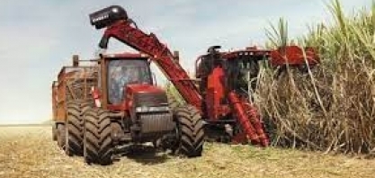 Previsão de Safra: boas perspectivas para os grãos, cana e laranja permanecem estáveis