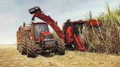 Previsão de Safra: boas perspectivas para os grãos, cana e laranja permanecem estáveis