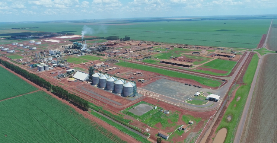 CerradinhoBio Divulgação