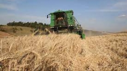 Valor Bruto da Produção deve atingir R$ 1,192 trilhão em 2021