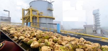 Produção de açúcar deve aumentar na União Europeia em 2021/22, estima USDA