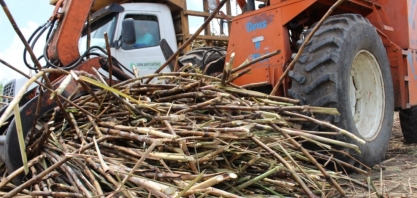 Safra de cana-de-açúcar mantem ritmo de recuperação em Alagoas