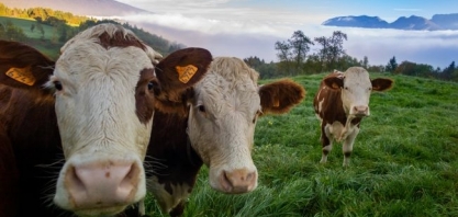 Sustentabilidade: a importância de conhecer os mecanismos de ação dos defensivos químicos e biológicos