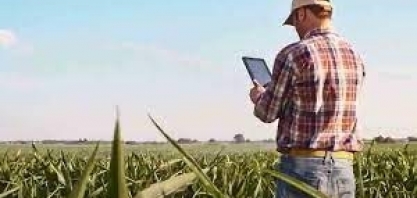 Imposto de Renda: produtores devem ficar atentos à declaração