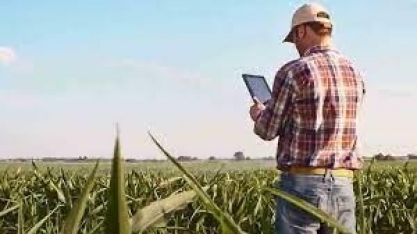 Imposto de Renda: produtores devem ficar atentos à declaração