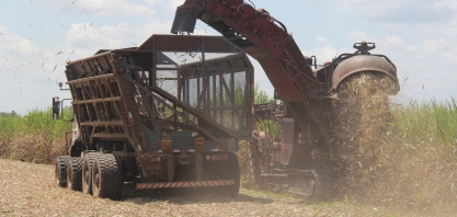 Safra canavieira 2021/22, cerca de 160 usinas devem estar em operação até 15 de abril