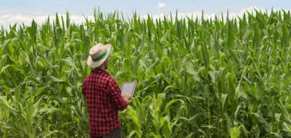 ‘Redução de subsídios e aumento de custos comprometem rentabilidade do produtor’