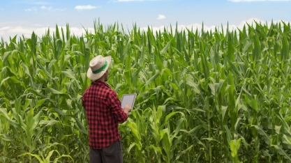 ‘Redução de subsídios e aumento de custos comprometem rentabilidade do produtor’