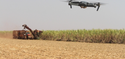 Smartbreeder realiza semana de lives para imersão no universo da agricultura digital