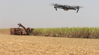 Smartbreeder realiza semana de lives para imersão no universo da agricultura digital