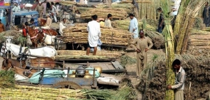 Açúcar: produção no Paquistão deve crescer 14% na safra 2020/21