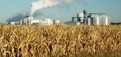 Milho avança em Chicago com dados sobre exportações e etanol