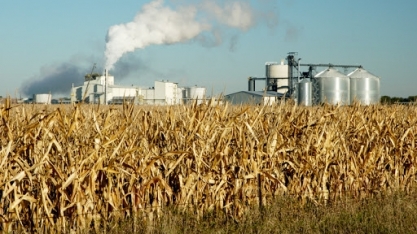 Milho avança em Chicago com dados sobre exportações e etanol