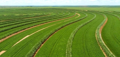 Manejo agronômico eleva produtividade da usina Atena mesmo com 100% dos canaviais localizados em ambientes desfavoráveis