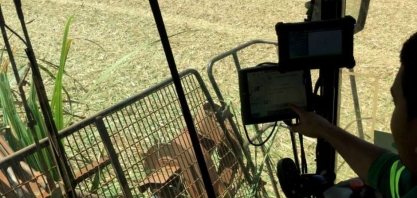 Itaú BBA vê queda de mais de 7% na produção de açúcar e etanol de cana do centro-sul