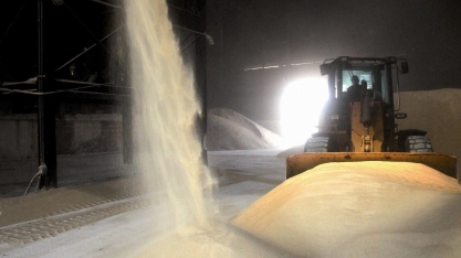 Preço do açúcar bruto brasileiro aumenta 62,92% no ano, aponta a S&P Global Platts