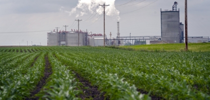 Recuperação da demanda por etanol pode impulsionar preços do milho nos EUA