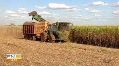 Estiagem afeta safra da cana-de-açúcar na região de Presidente Prudente