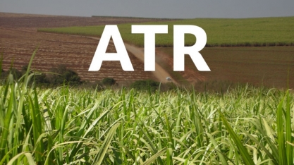 ATR SP: Consecana apresenta valores de abertura da safra