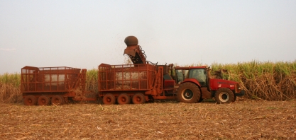 Não é apenas a condição climática que influencia o aumento ou redução da ATR