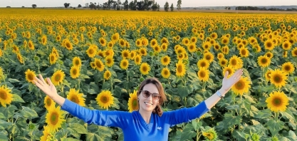 Hotel de Abelhas aumenta produtividade enquanto promove biodiversidade