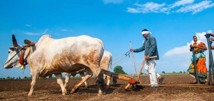 Brasil e Índia discutem futuro da bioenergia com etanol como commodity