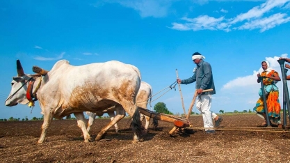 Brasil e Índia discutem futuro da bioenergia com etanol como commodity