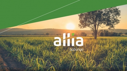 BP Bunge Bioenergia lança o programa Allia, plataforma de negócios exclusiva para fornecedores de cana-de-açúcar