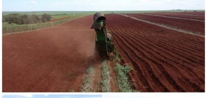Alcoolvale: setor agrícola realiza desdobramento MEIOSI