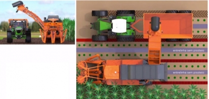 Canaviais aguardam nova colhedora que promete corte com qualidade, mas maior velocidade