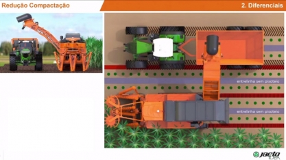 Canaviais aguardam nova colhedora que promete corte com qualidade, mas maior velocidade