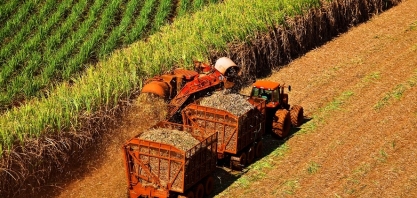 Seca atrapalha e moagem da safra canavieira do Centro-Sul é menor em relação à quantidade verificada em igual período de 2020