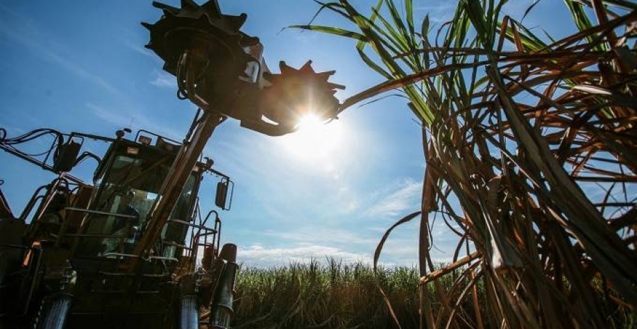  (Kiko Ferrite/Exame)