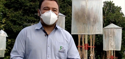 Rede Universitária de Desenvolvimento lança 21 novas variedades de cana de açúcar