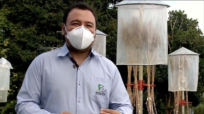 Rede Universitária de Desenvolvimento lança 21 novas variedades de cana de açúcar