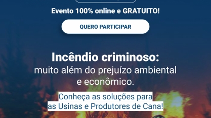 Incêndio Criminoso: muito além do prejuízo ambiental e econômico