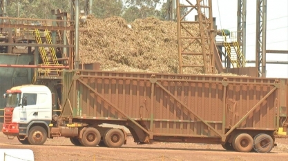 MS fecha ciclo 20/21 com produção de 48,8 milhões de toneladas de Cana-de-Açúcar