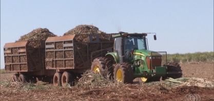 Goiás é o segundo maior produtor de cana-de-açúcar
